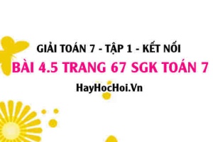 Giải bài 4.5 trang 67 Toán 7 Tập 1 SGK Kết nối tri thức